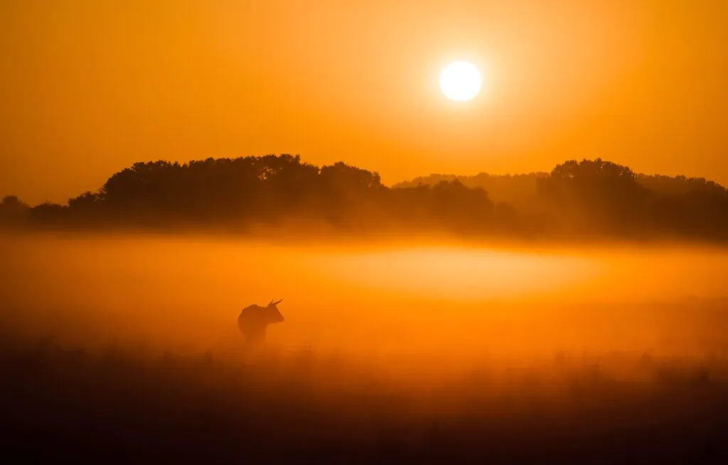 The Fog No One Prepares You For